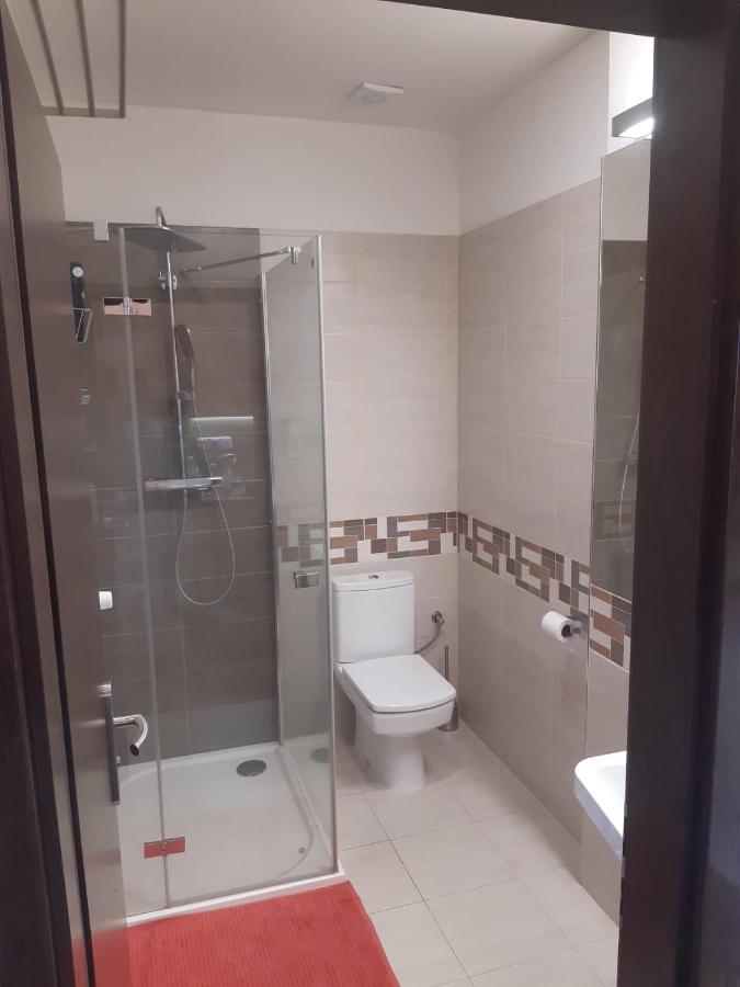 Tereza 2.0 Apartment Рокитнице над Ийзероу Екстериор снимка