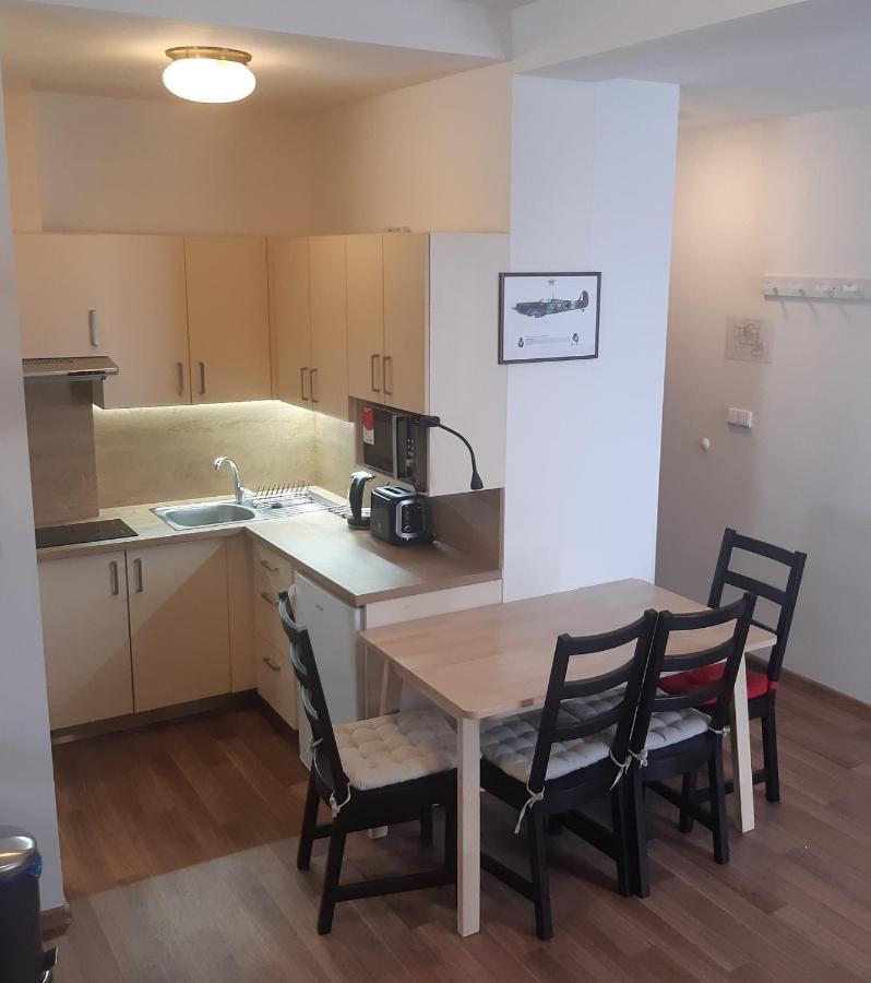Tereza 2.0 Apartment Рокитнице над Ийзероу Екстериор снимка